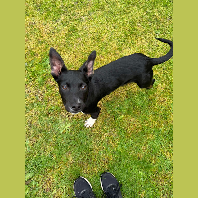 Photo of Russell ❤️