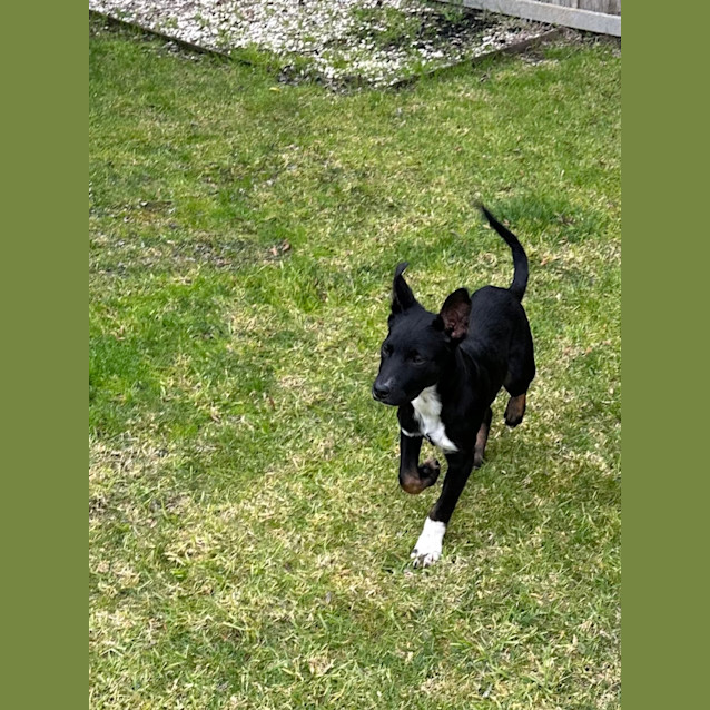 Photo of Russell ❤️