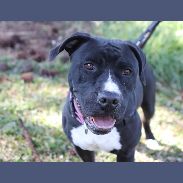 Photo of Lucy