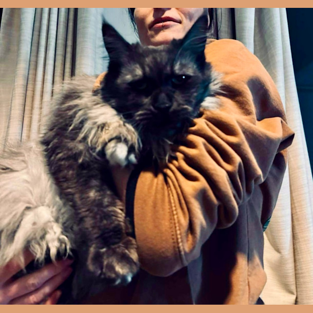 Photo of Shadow Bandit