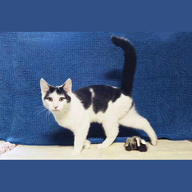 Photo of Billy