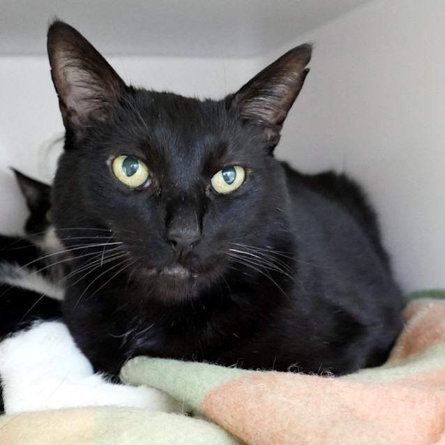 Photo of Blackie Sua011822