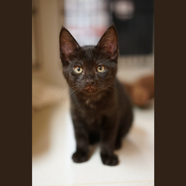 Photo of Daffy