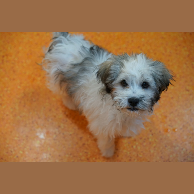Photo of Diego