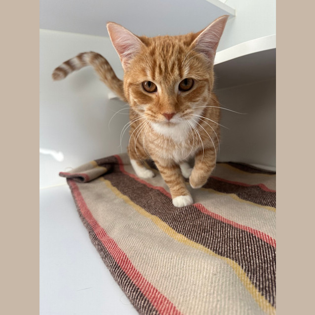 Photo of Belle