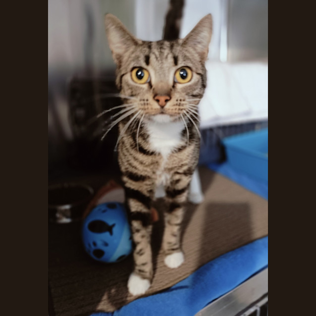 Photo of Artemis