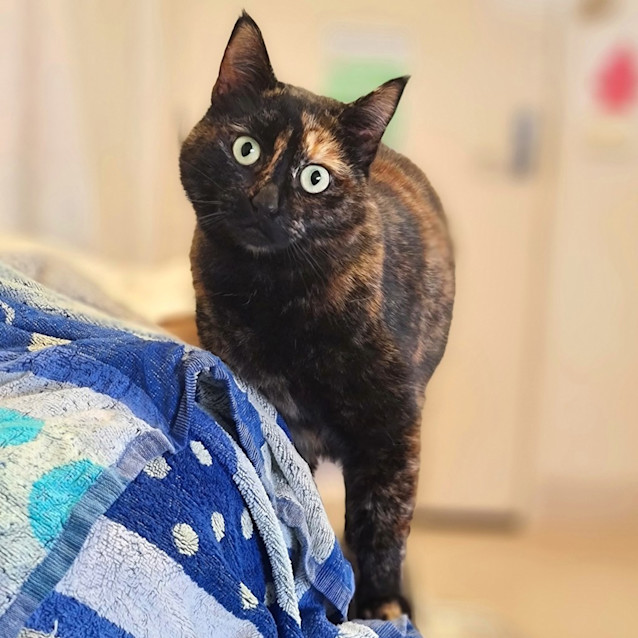 Photo of Zara