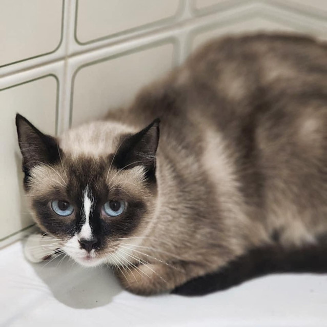 Photo of 10252   Mabel