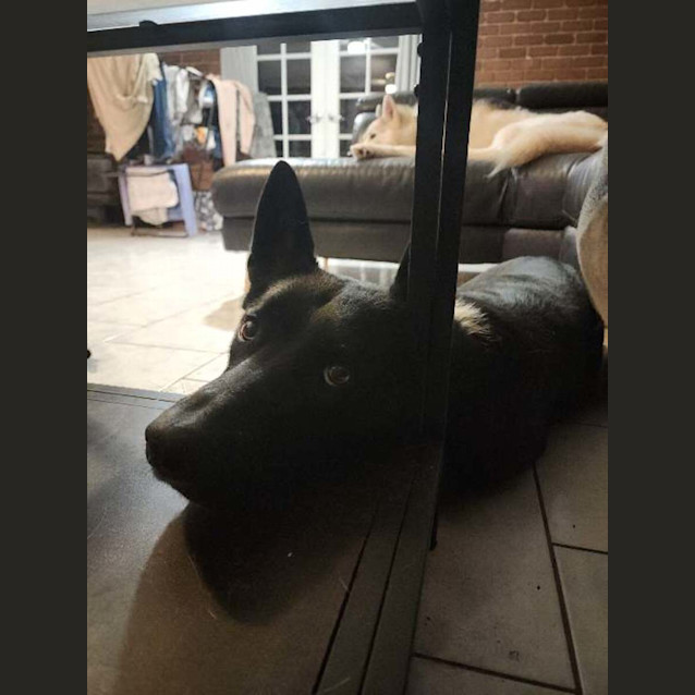 Photo of Trick