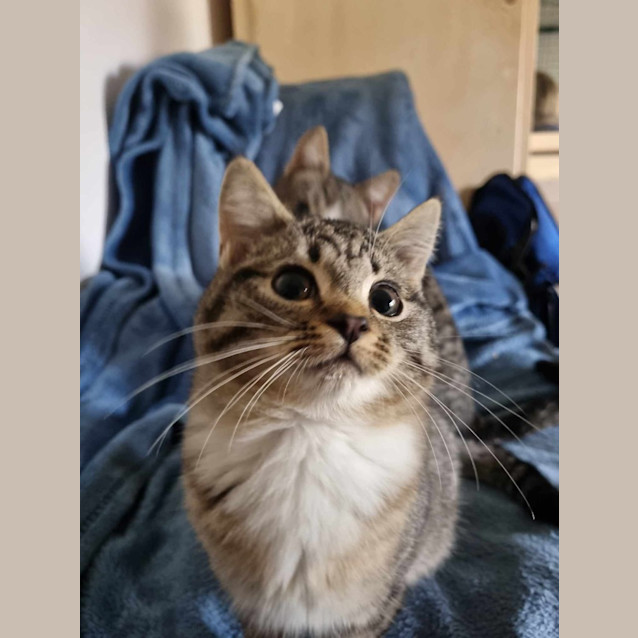 Photo of Maurice