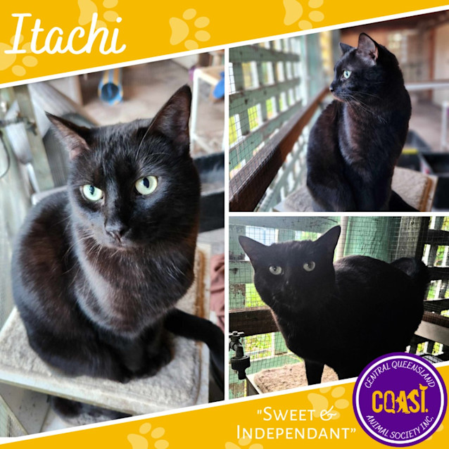 Photo of Itachi