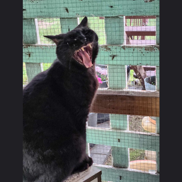 Photo of Itachi