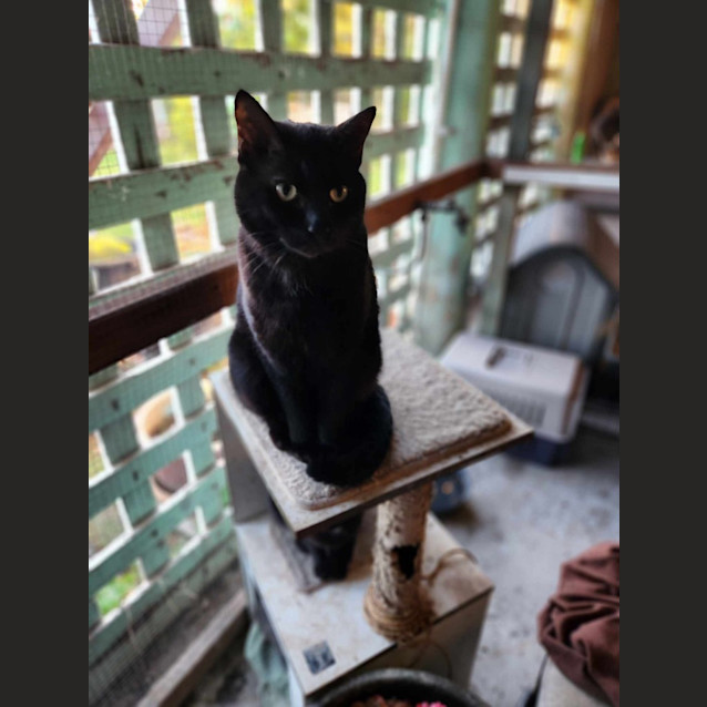 Photo of Itachi