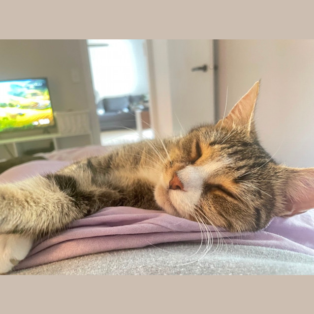 Photo of Kaiya 💜