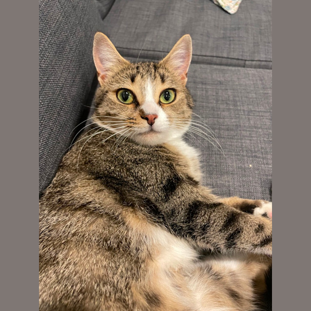 Photo of Kaiya 💜