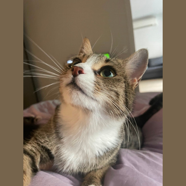 Photo of Kaiya 💜