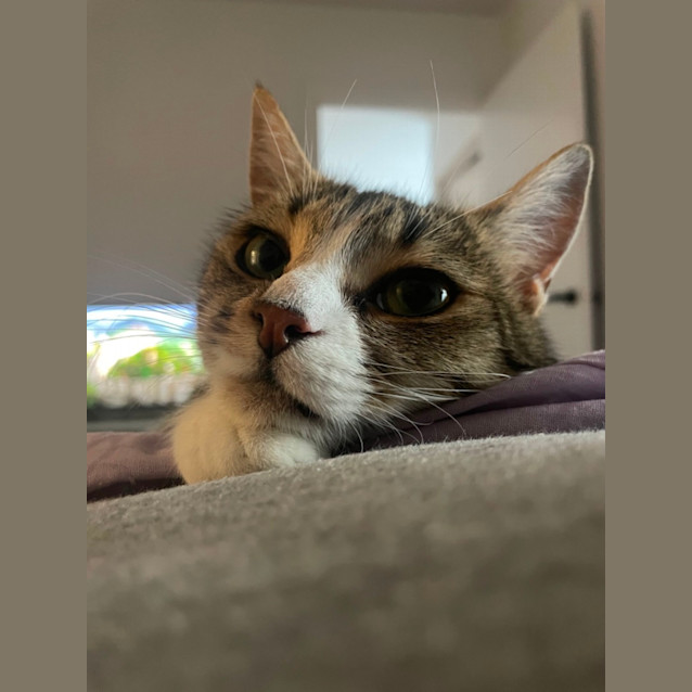 Photo of Kaiya 💜