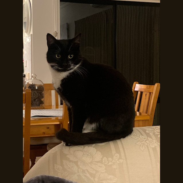 Photo of Flame & Sooty