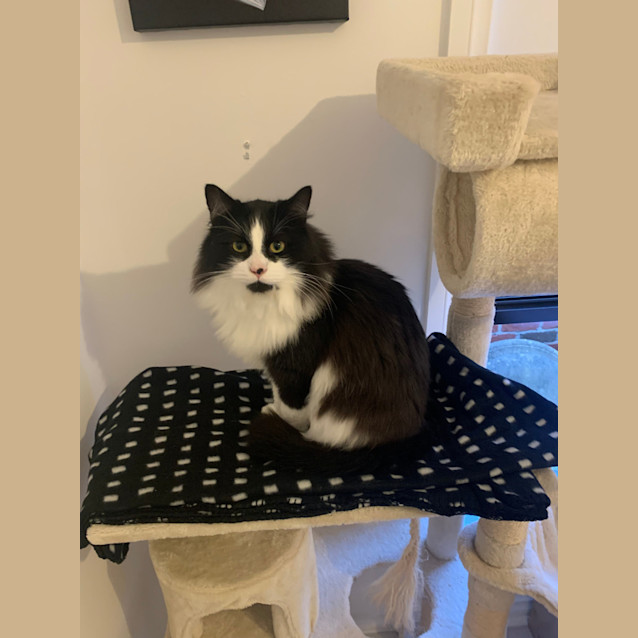 Photo of Flame & Sooty