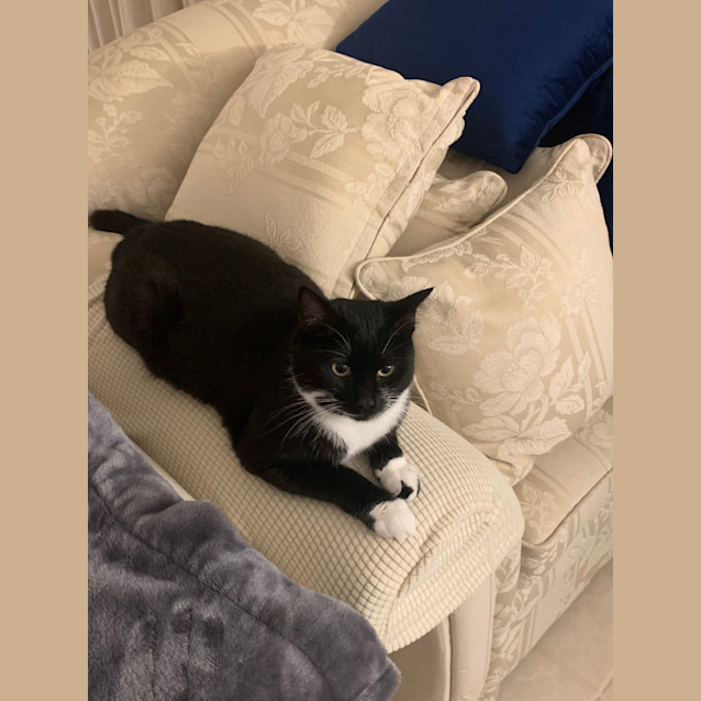 Photo of Flame & Sooty