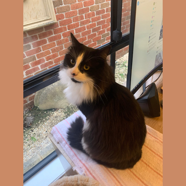 Photo of Flame & Sooty