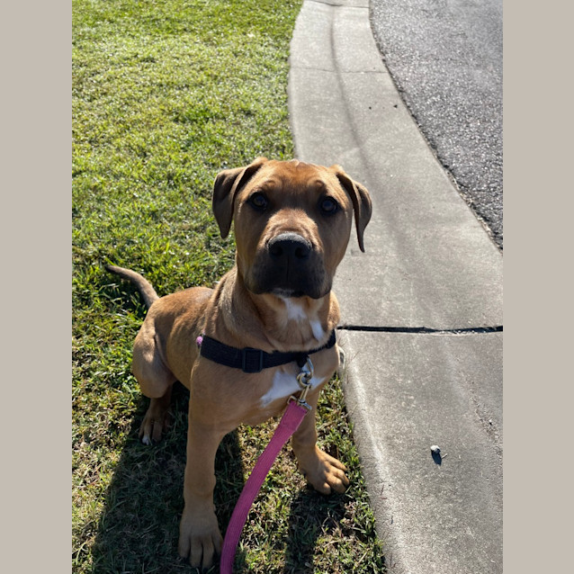 Photo of Arlo 