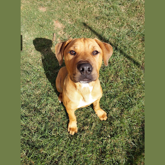 Photo of Arlo 