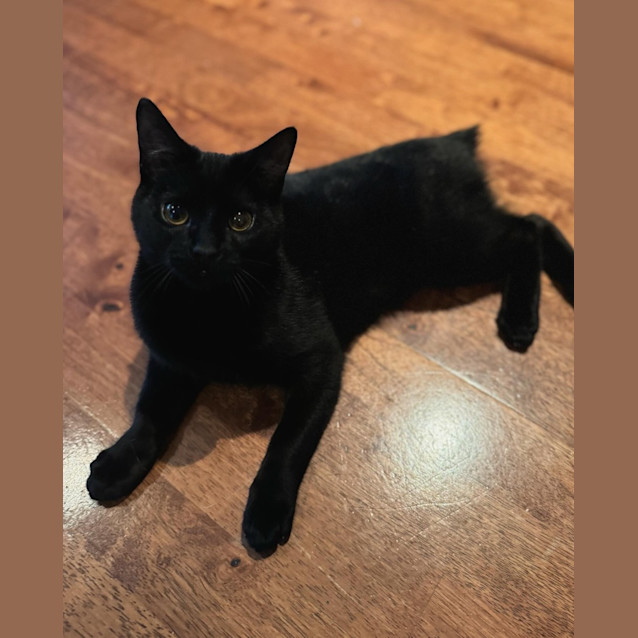 Photo of Fantastic Fudge