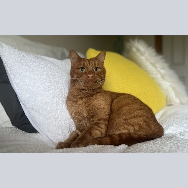 Photo of Ron
