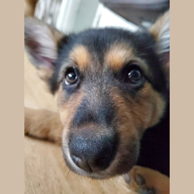 Photo of Megzy