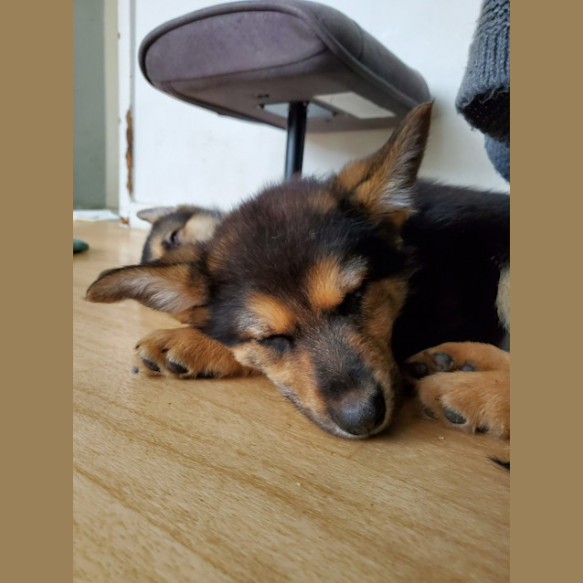 Photo of Megzy