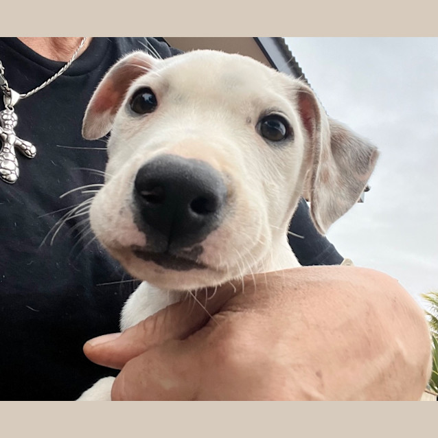 Photo of Lillie White