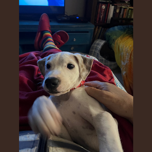 Photo of Lillie White