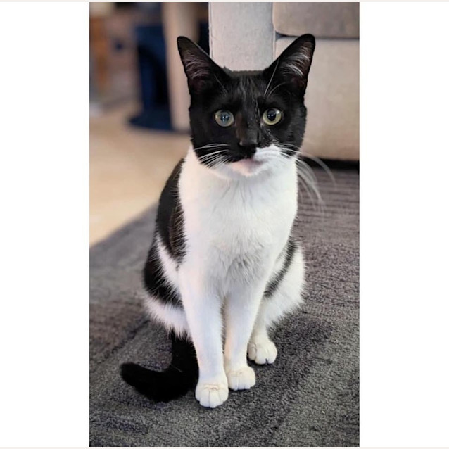 Photo of 9383   Jenny