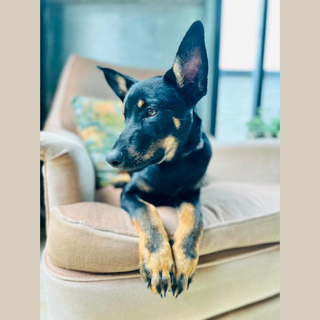 Photo of Geller