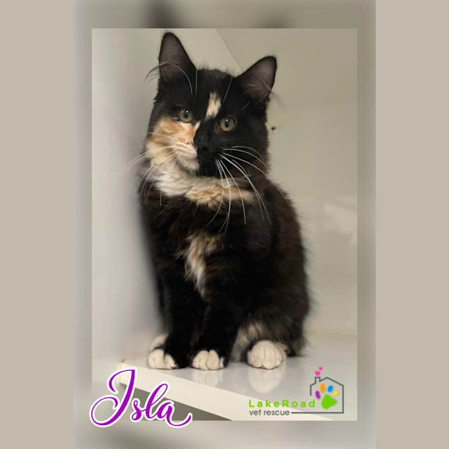 Photo of Isla