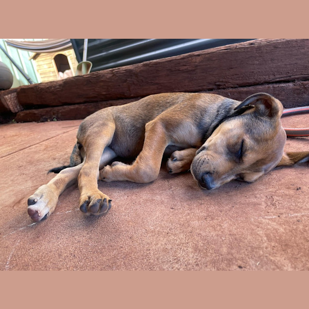 Photo of Missy
