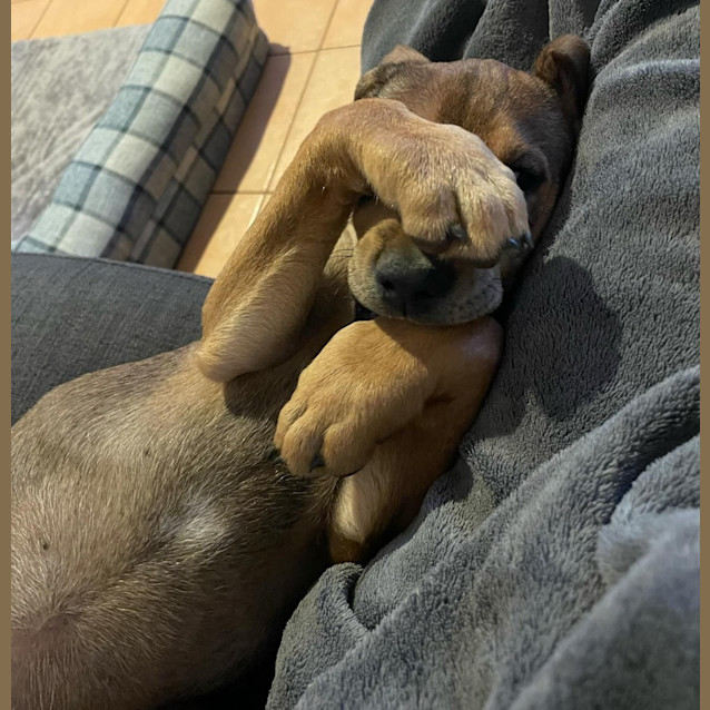 Photo of Missy
