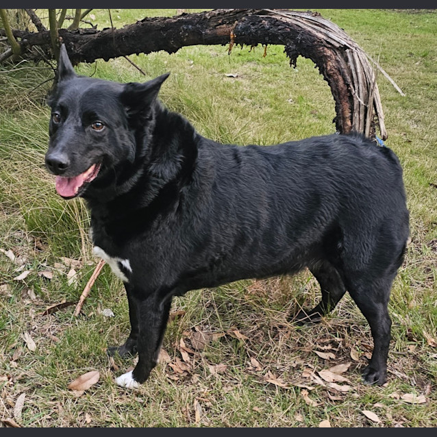 Photo of Cubby