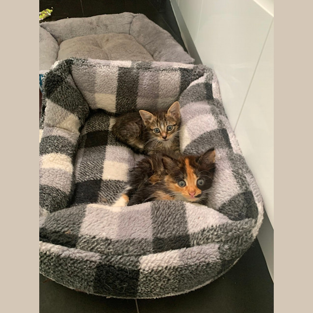 Photo of Wynnie