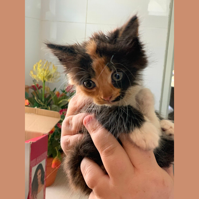 Photo of Wynnie