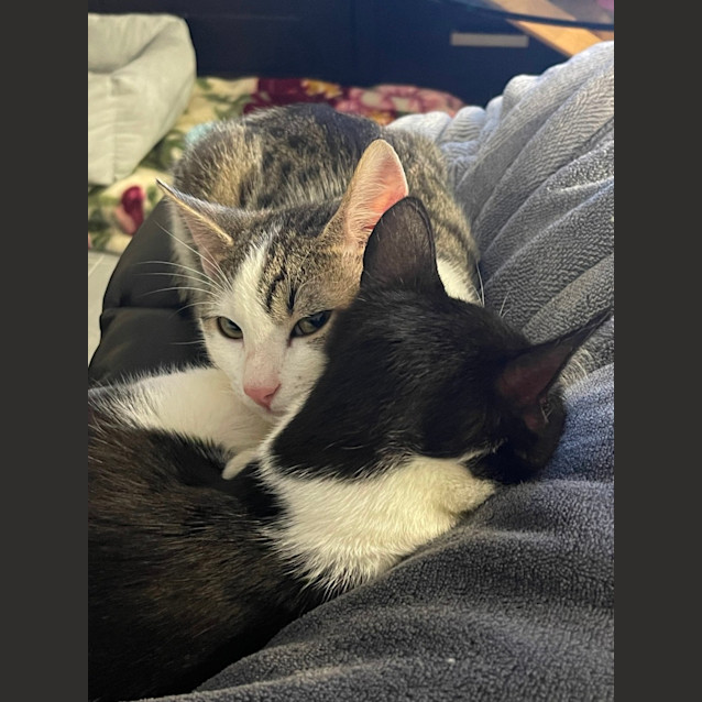 Photo of Stella & Jimmy