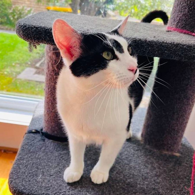 Photo of Phillip   Located In Preston