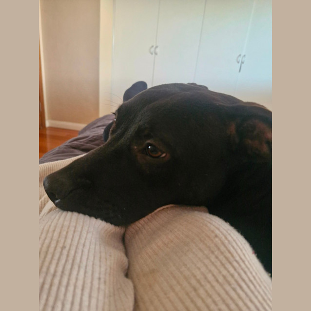 Photo of Wonga