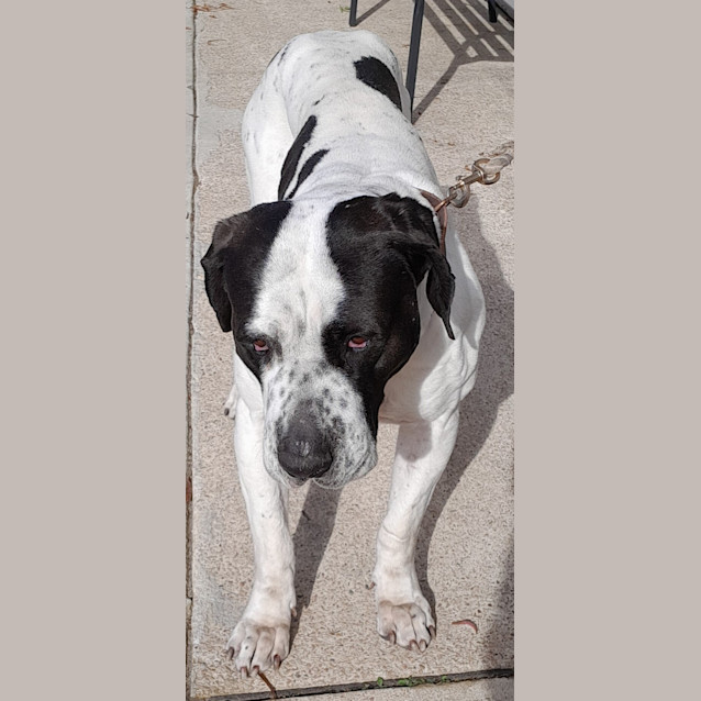Photo of Xena