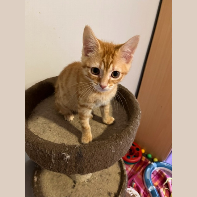 Photo of Bria   Located In Preston From July 28