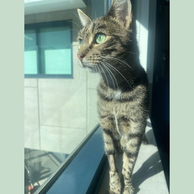 Photo of Jay Jay