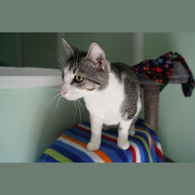 Photo of Arlo