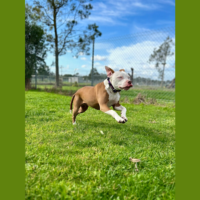 Photo of Millie