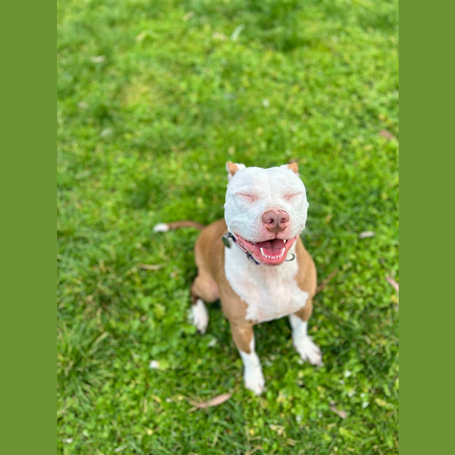 Photo of Millie